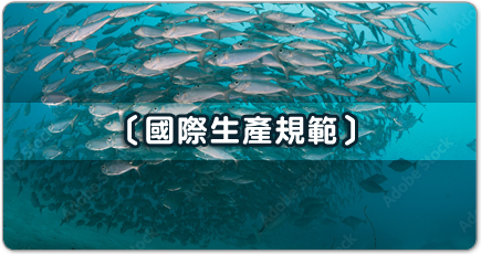 國際生產規範